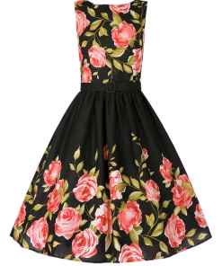 Lindy Bop Audrey Pink Rose Border Dress