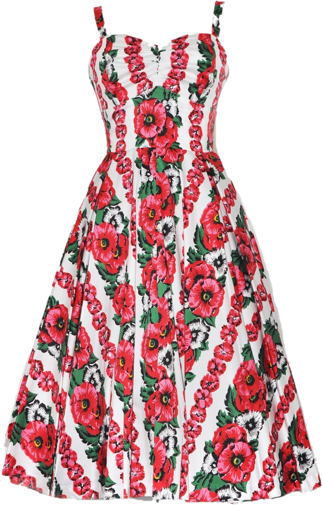 Retrospec'd Sandi Poppy Dress